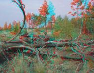 Лошакова Гута з panoramio.com