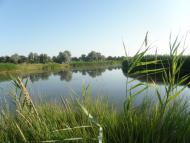 Вікторівка з panoramio.com