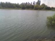 Мала Стружка з panoramio.com