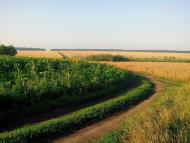 Бузникувате - Останні фото