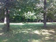 Велика Любаша з panoramio.com