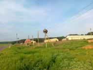 Новоселівка з panoramio.com