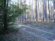 Пісківка з panoramio.com