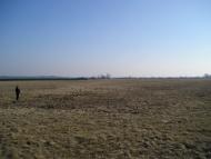 Вишеньки з panoramio.com