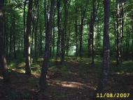 Вербівка з panoramio.com