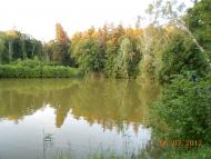 Васьківці з panoramio.com