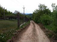 Біла - Останні фото