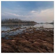 Бальківці - Останні фото