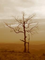 Гукливий з panoramio.com (ч.2)