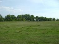 Жуківка - Останні фото