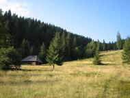 Береги з panoramio.com