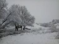 Сокиряни з panoramio.com