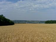 Василівка з panoramio.com