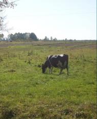 Дрогомышль - Последние фото