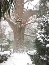 Підгородне з panoramio.com