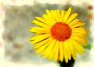 Армянськ з panoramio.com