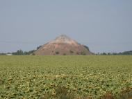 Стіжківське - Останні фото