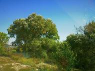 Холмівка з panoramio.com