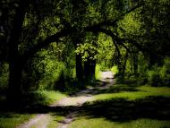 Брянка з panoramio.com (ч.2)