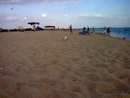 Молочне з panoramio.com