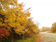 Kuryany - Latest photos