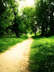 Вовчанськ з panoramio.com