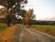 Троянівка з panoramio.com