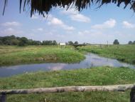 Добросин з panoramio.com