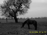 Менжинське з panoramio.com