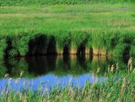 Волна - Последние фото