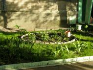 Ювілейне з panoramio.com