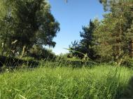 Гавронщина з panoramio.com