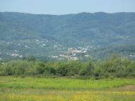 Липча з panoramio.com