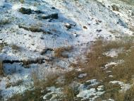 Стыла - Последние фото