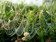 Звози з panoramio.com