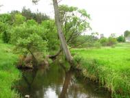 Смолівка з panoramio.com