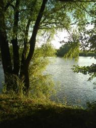 Florianivka - Latest photos