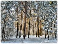 Макошине з panoramio.com