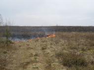 Омелівка - Останні фото