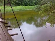 Завгороднє з panoramio.com