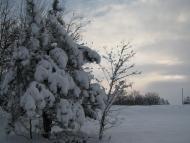 Доманівка з panoramio.com