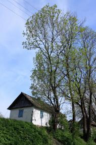 Нище з panoramio.com