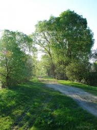 Шестовиця з panoramio.com