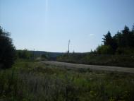 Дмитренки з panoramio.com