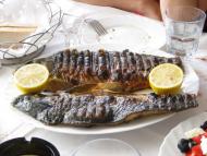 Рідківці з panoramio.com