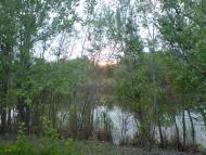 Могилів з panoramio.com