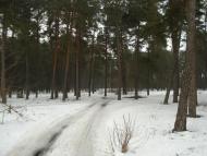 Макошине з panoramio.com