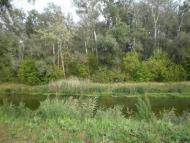 Завгороднє з panoramio.com