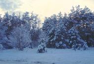 Дитятки з panoramio.com