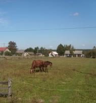 Дрогомышль - Последние фото